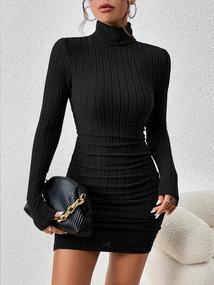 Turtleneck Long-Sleeve Mini Dress