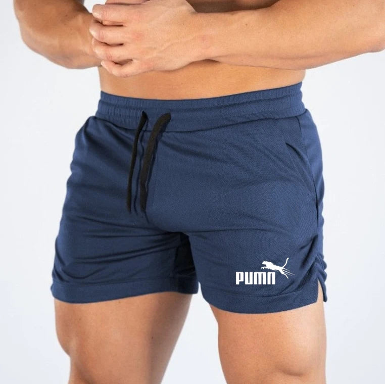 Mesh Quick-Dry Sport Shorts