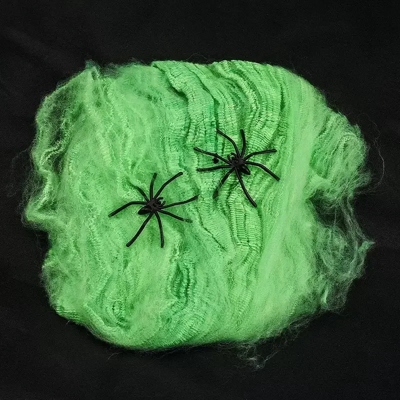 Stretchy Spider Web Decoration
