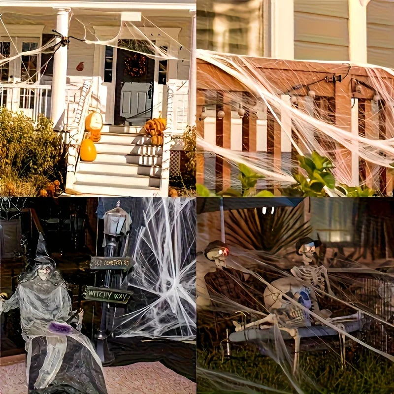 Stretchy Spider Web Decoration