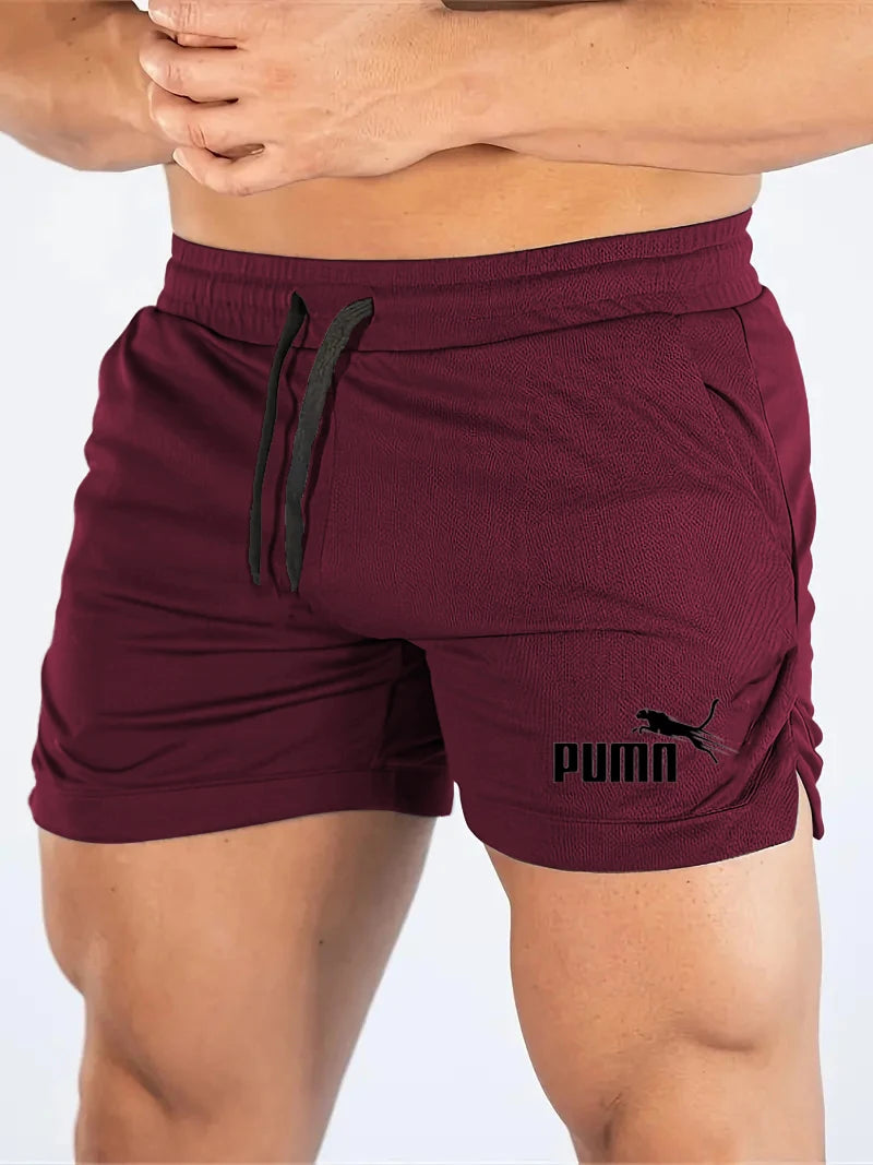 Mesh Quick-Dry Sport Shorts