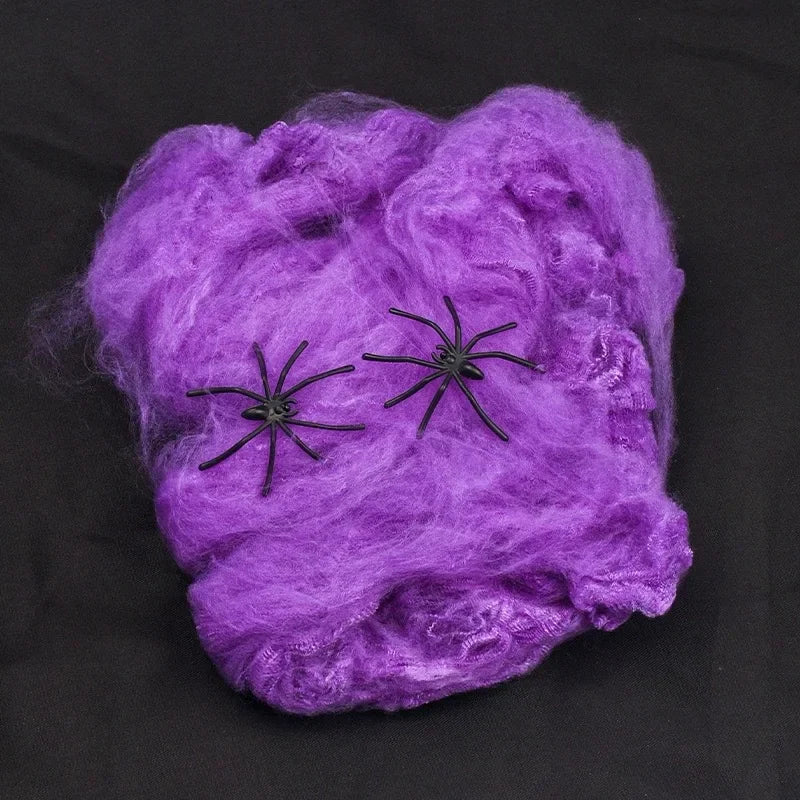 Stretchy Spider Web Decoration
