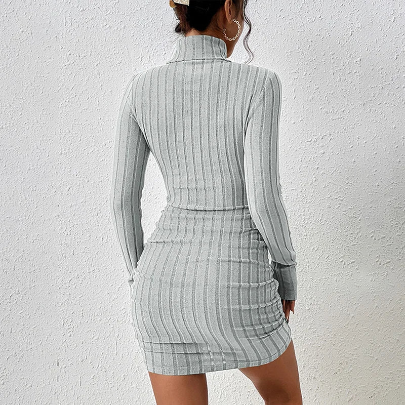 Turtleneck Long-Sleeve Mini Dress