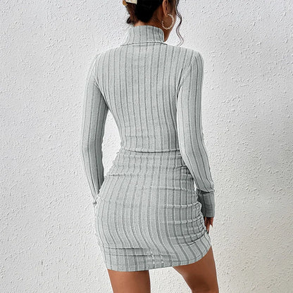 Turtleneck Long-Sleeve Mini Dress