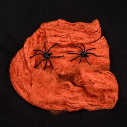Stretchy Spider Web Decoration
