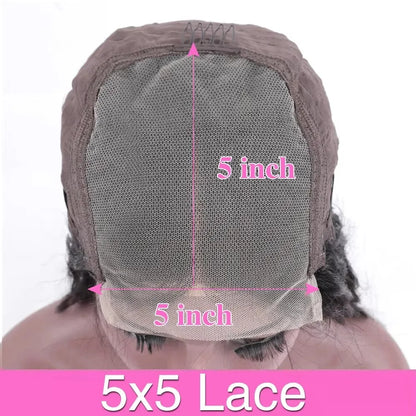Body Wave Lace Wig