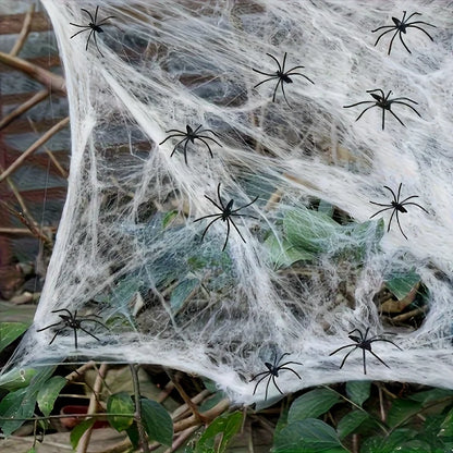Stretchy Spider Web Decoration