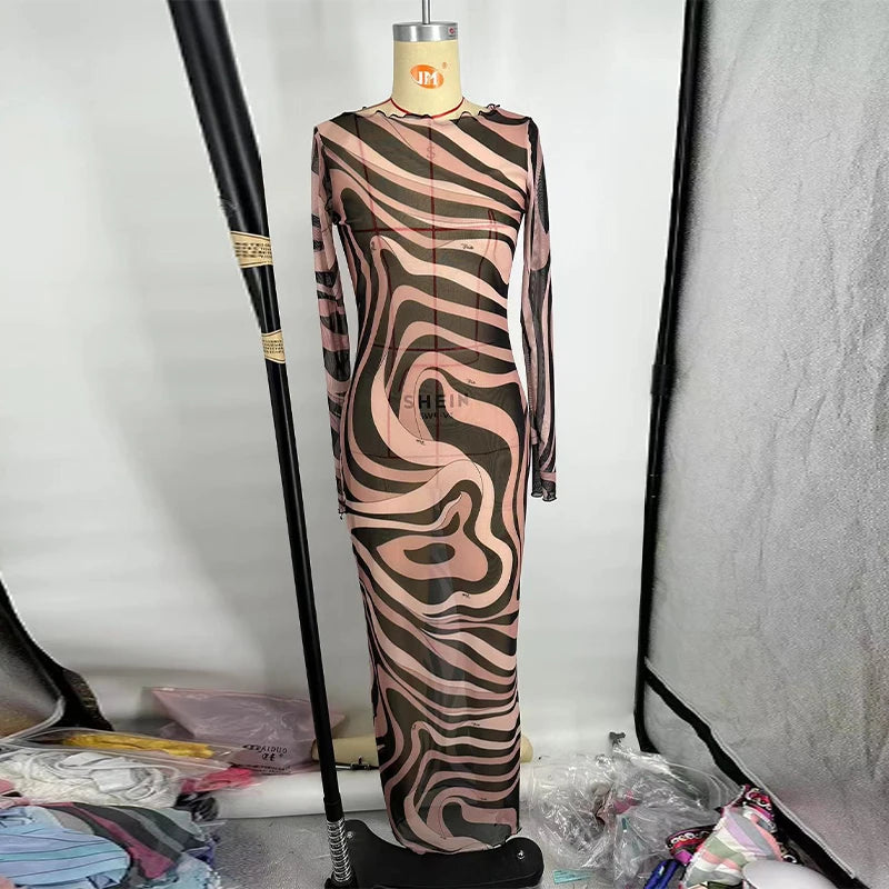 Sheer Mesh Bodycon Maxi Dress