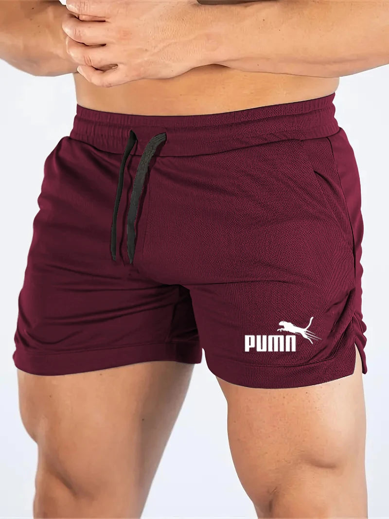 Mesh Quick-Dry Sport Shorts