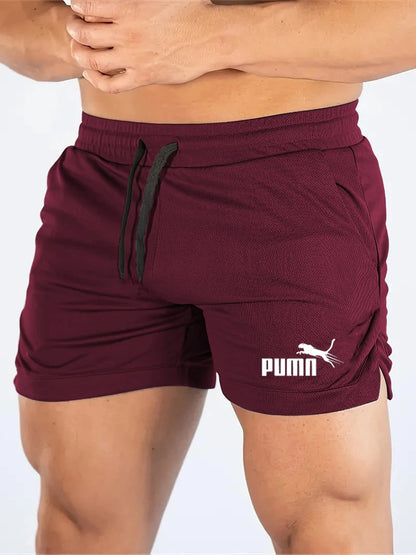 Mesh Quick-Dry Sport Shorts