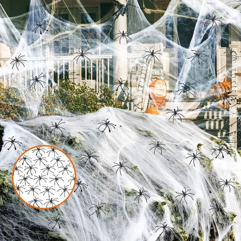 Stretchy Spider Web Decoration