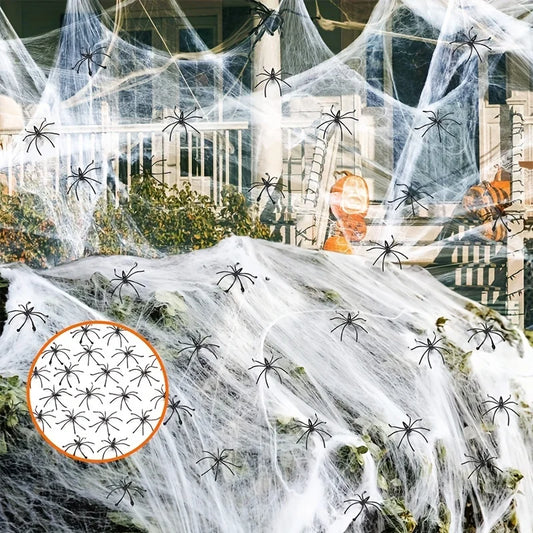 Stretchy Spider Web Decoration