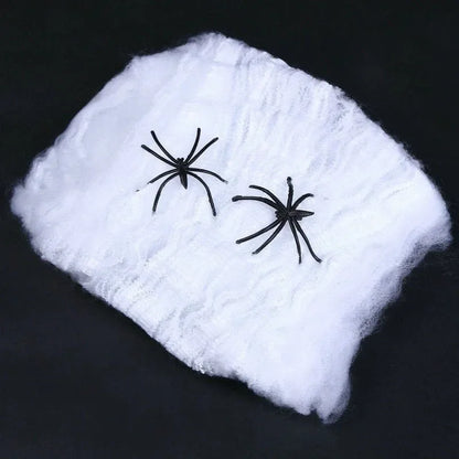 Stretchy Spider Web Decoration