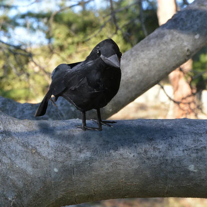 Realistic Artificial Crow Set