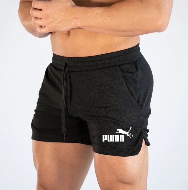 Mesh Quick-Dry Sport Shorts