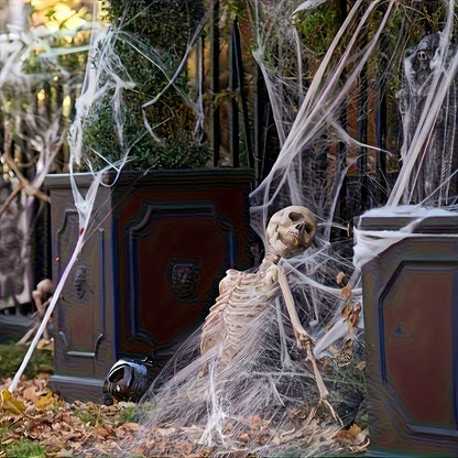 Stretchy Spider Web Decoration